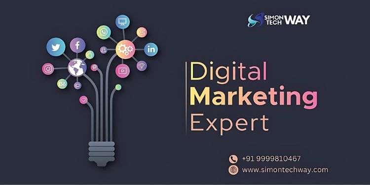 Digital Marketing Expert in