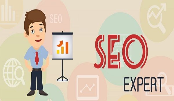SEO Expert in Delhi