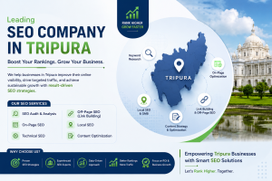 seo company in tripura